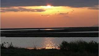 Delta of Evros River